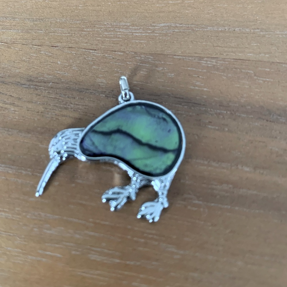 Kiwi bird charm/pendant. Silvertone with abalone shell body. Green/blue. 1” size